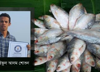 ভাল ইলিশ চেনার উপায়!