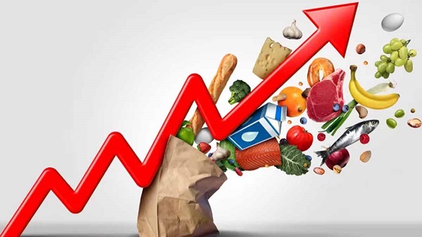 65a03ee4-54a4-44fd-b0d9-99db19e03347-1-1