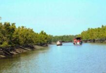 সুন্দরবনের ১০ কিমির মধ্যে শিল্প স্থাপন নিষিদ্ধ, প্রজ্ঞাপন জারি