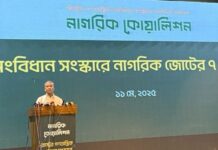 নতুন সংবিধান প্রণয়নে হতে অনেক সময় লাগবে : আসিফ নজরুল