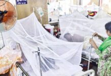 ডেঙ্গুতে আরও ১ জনের মৃত্যু, আক্রান্ত ৩৮৬