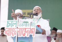 ঠেলার নাম বাবাজি, না-ভোটের লোক এখন হ্যাঁ বলছে : জামায়াত আমির