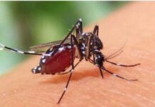 ডেঙ্গুতে আরও ৩ মৃত্যু, ভর্তি ৪৫৮