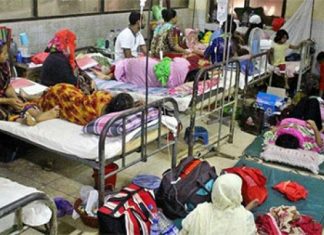 ৬৪ জেলায় ডেঙ্গু ছড়িয়ে পড়েছে, ২৪ ঘণ্টায় হাসপাতালে ভর্তি ১৭১২