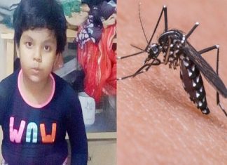 ডেঙ্গুতে সারার বিদায়, আশঙ্কাজনক সাফা