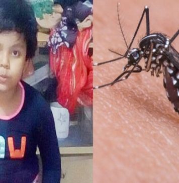 ডেঙ্গুতে সারার বিদায়, আশঙ্কাজনক সাফা