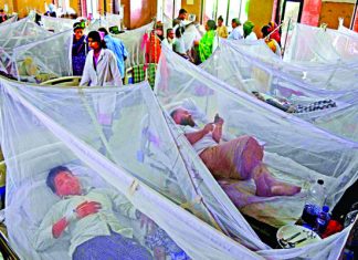 ডেঙ্গু আক্রান্ত কমছেই না