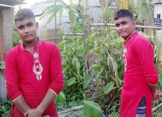 ডেঙ্গু কেড়ে নিল শিবচরের ফারুকের প্রাণ