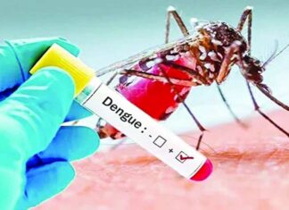 ডেঙ্গুতে আরও ২ জনের মৃত্যু, হাসপাতালে ১৬৩