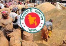 আমন মৌসুমে ১০ লাখ টন ধান-চাল সংগ্রহ করবে সরকার