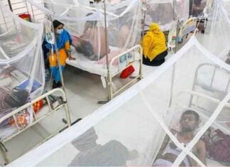 ডেঙ্গুতে আরও ৩ জনের মৃত্যু, হাসপাতালে ভর্তি ৪৯২