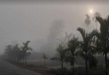 রাতে আরও বাড়বে শীত, উত্তরাঞ্চলে ঘন কুয়াশার আভাস