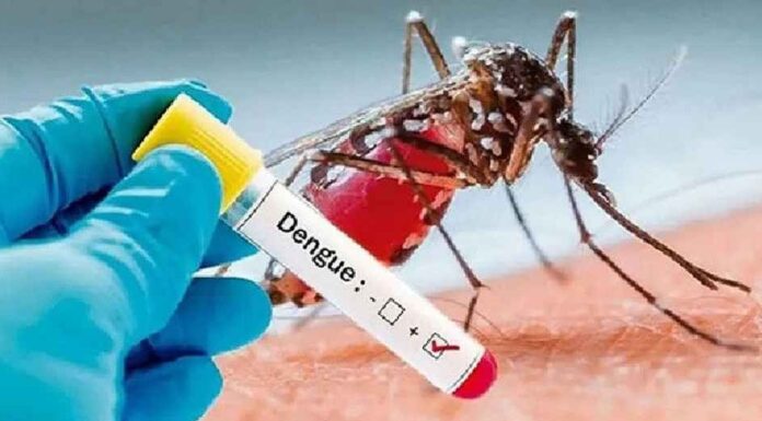 ডেঙ্গুতে ২ জনের মৃত্যু, হাসপাতালে ১৫৭