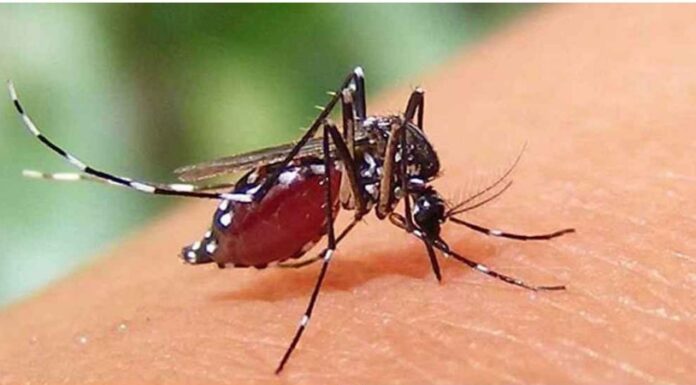 ডেঙ্গুতে আরও ৩ মৃত্যু, ভর্তি ৪৫৮