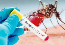 ডেঙ্গুতে আরও একজনের মৃত্যু, আক্রান্ত ৪৭৩