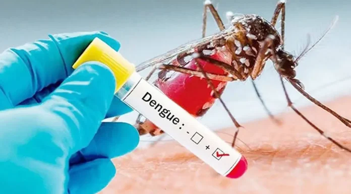 ডেঙ্গুতে আরও একজনের মৃত্যু, আক্রান্ত ৪৭৩