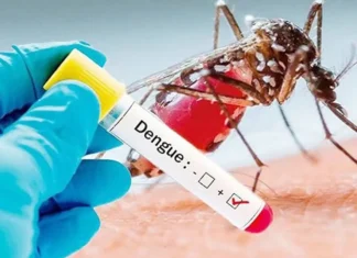ডেঙ্গুতে আরও একজনের মৃত্যু, হাসপাতালে ভর্তি ২৪২