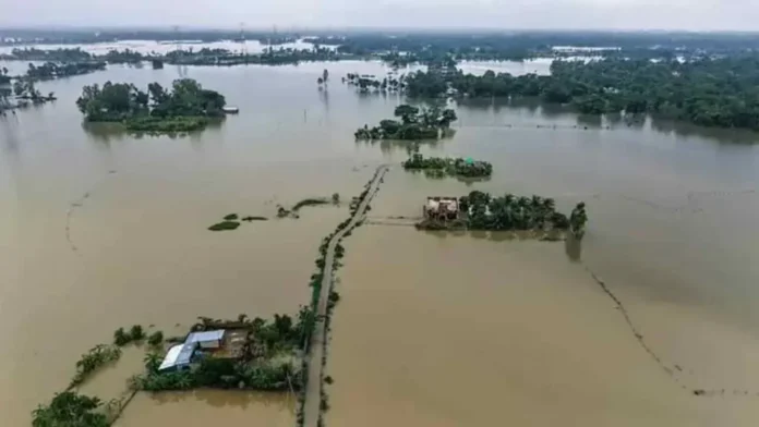 flood-bg-20260713164020-1024x576