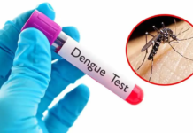 ডেঙ্গুতে একজনের মৃত্যু, হাসপাতালে ভর্তি ১৬৩