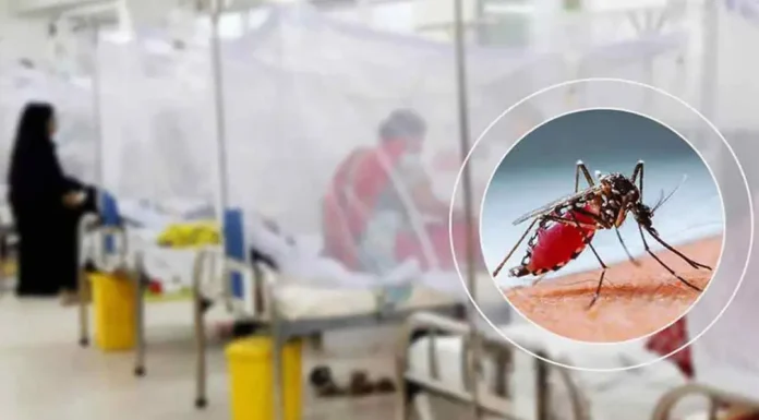 ডেঙ্গুতে আক্রান্ত বেড়ে ১,০৯৭, মৃত্যু ৩