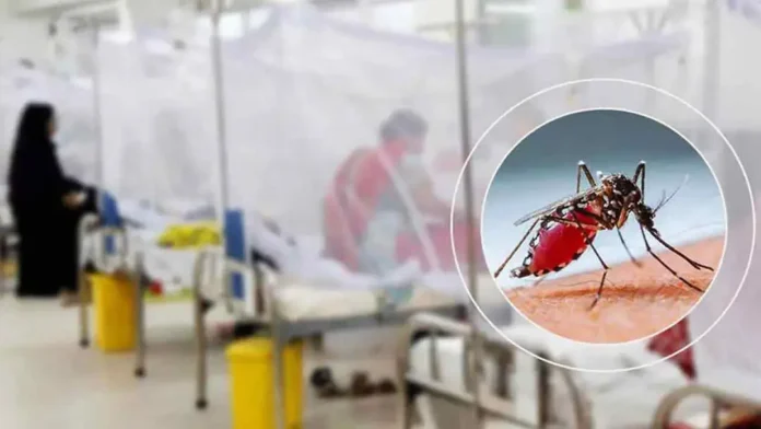 dengue-20260831181302