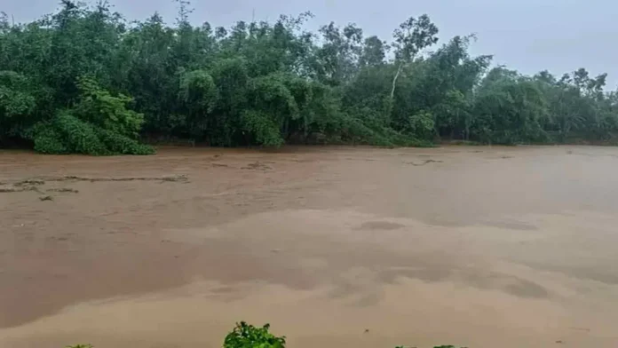 flood-20260801154607-1024x576