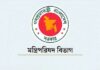 আইনশৃঙ্খলা ও উন্নয়ন দেখভালের দায়িত্বে ৩০ মন্ত্রী, প্রতিমন্ত্রী ও হুইপ