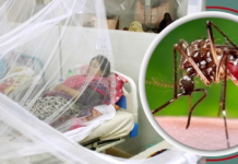 ডেঙ্গুতে আরও ৫ মৃত্যু, ভর্তি ১১০০
