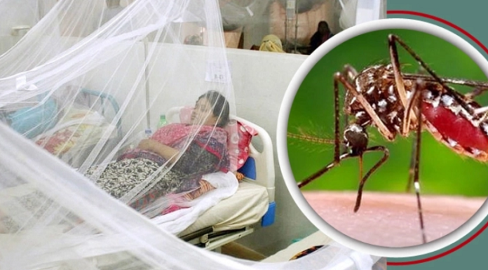 ডেঙ্গুতে আরও ৫ মৃত্যু, ভর্তি ১১০০