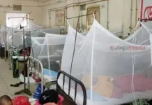 ডেঙ্গুতে আরও ৬ মৃত্যু, ভর্তি ১৮৬৮