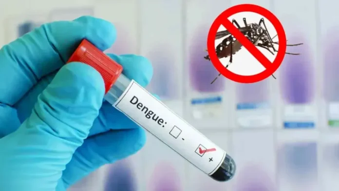 dengue-20260907173707-1024x576