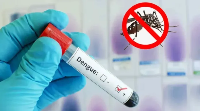 ডেঙ্গুতে রেকর্ড ৯ মৃত্যু, ভর্তি ১,৫৭১