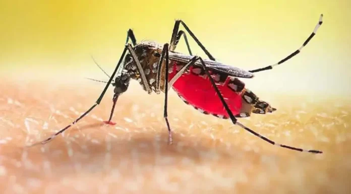 ডেঙ্গুতে ২ জনের মৃত্যু, ভর্তি ১,২৩২