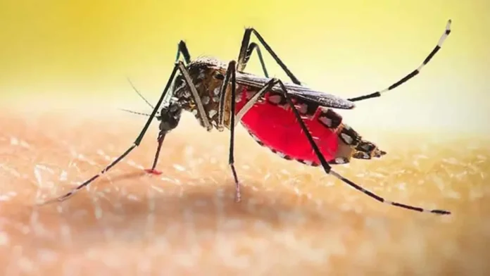 dengue-20260914175951-1024x576
