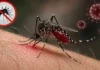 ডেঙ্গুতে আরও ৩ মৃত্যু, ভর্তি ১,৪৩২