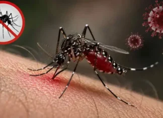 ডেঙ্গুতে আরও ৩ মৃত্যু, ভর্তি ১,৪৩২