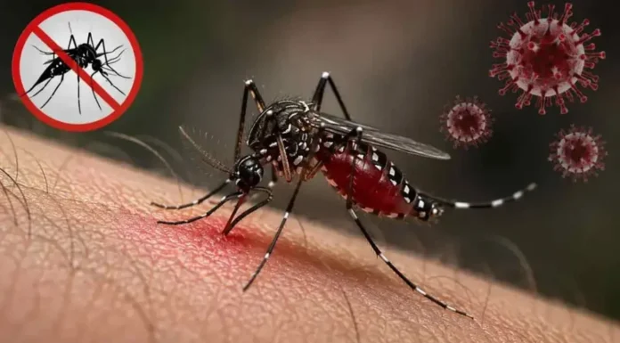 ডেঙ্গুতে আরও ৩ মৃত্যু, ভর্তি ১,৪৩২
