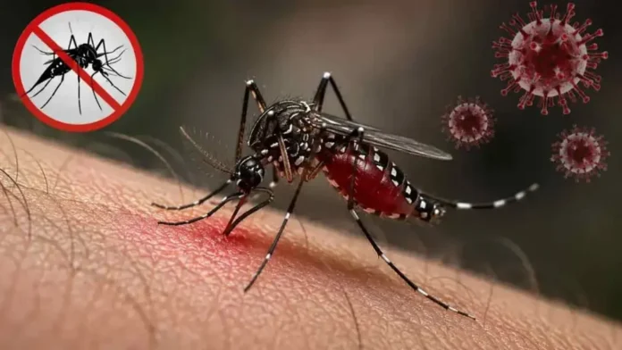dengue-20260926163503-1024x576