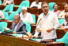 ভোলাতে গড়ে তোলা হবে বিদ্যুৎকেন্দ্র ও সার কারখানা : সংসদে প্রধানমন্ত্রী