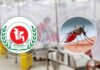 ২৪ ঘণ্টায় ডেঙ্গুতে ৭ জনের মৃত্যু, হাসপাতালে ভর্তি ১৫৯৩