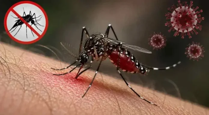 ডেঙ্গুতে এক দিনে ভর্তি ২১৯৩, মৃত্যু ৪